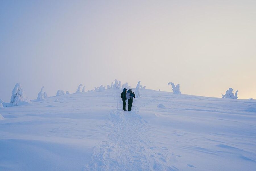 Hiking in Riisitunturi National Park with Photographer - The Small-Group Format: Why Max 8 Matters in the Snow