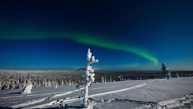 Hunting Northern Lights with Husky - The Campfire Break: Blueberry Juice, Sausage, and Marshmallows
