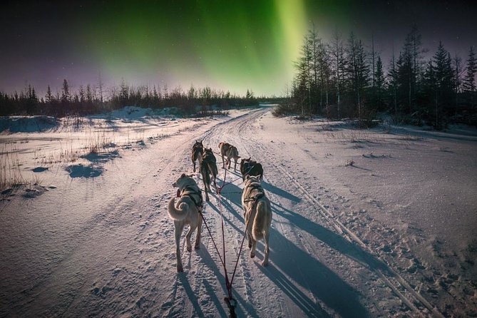 Hunting Northern Lights with Husky - Cold-Weather Reality Check: What to Bring for -30 Conditions