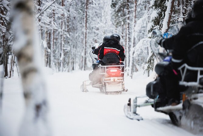 Husky and Reindeer Experience With Snowmobiling - Key things I’d watch for