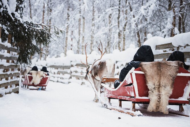 Husky and Reindeer Experience With Snowmobiling - The 1-Hour Snowmobile Safari: Views, Convoy Driving, and Sharing Reality