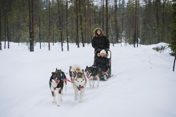 Husky Safari from Rovaniemi Including a Husky Sled Ride - The Core Experience: Husky Safari Time in Lapland