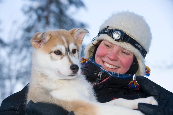 Husky Safari from Rovaniemi Including a Husky Sled Ride - Farm Time, Dog Interaction, and the Warm-Drink Reset