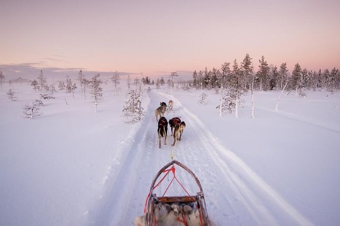 Ice Fishing and Husky - Key highlights worth caring about