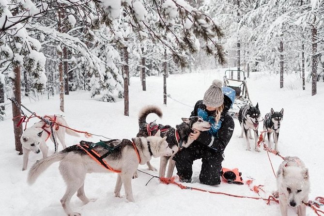 Ice Fishing and Husky - Pickup from Nordic Unique Travels: the only logistics you need
