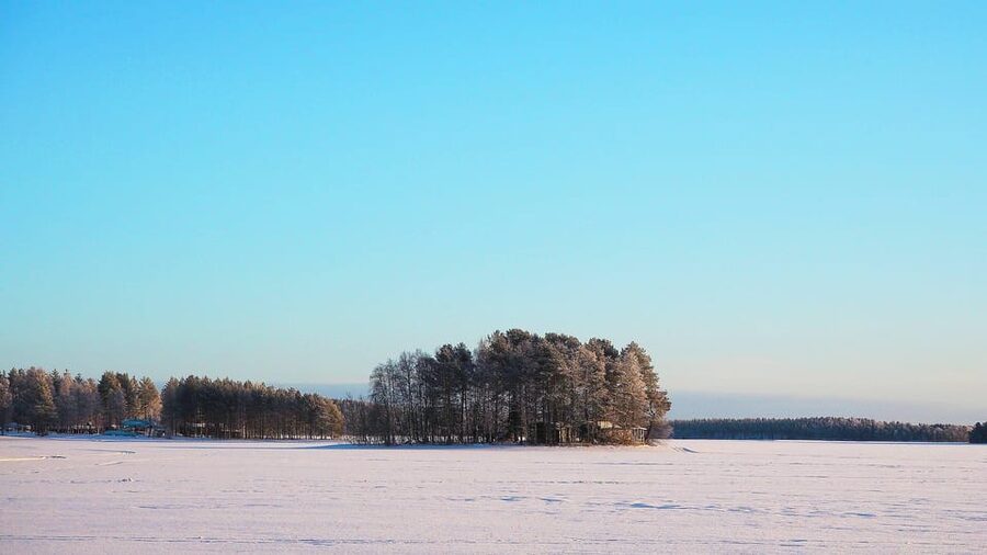 Ice fishing program in Lapland - The Food Setup: Salmon Sandwich and Got Berry Juice