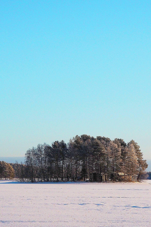 Ice fishing program in Lapland - Team-Building and Families: Why This Tour Fits
