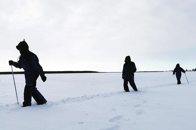 Icetrek to Old Kemi - Understanding Kemi’s wood industry, not just seeing it