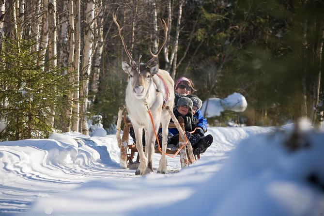 In Pursuit of Reindeer - Snowmobile safari to reindeer farm in Rovaniemi - Snowmobile Safari Setup From Safartica: Simple, organized, and built for comfort