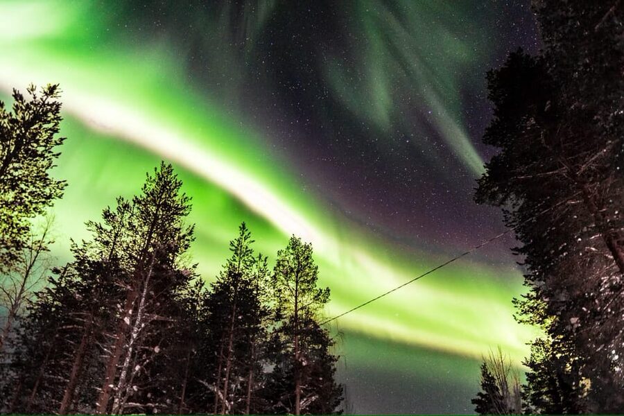 Inari: Northern Lights Hunt Snowmobile Safari - How the Guides Point You to the Aurora, Not Just the Weather