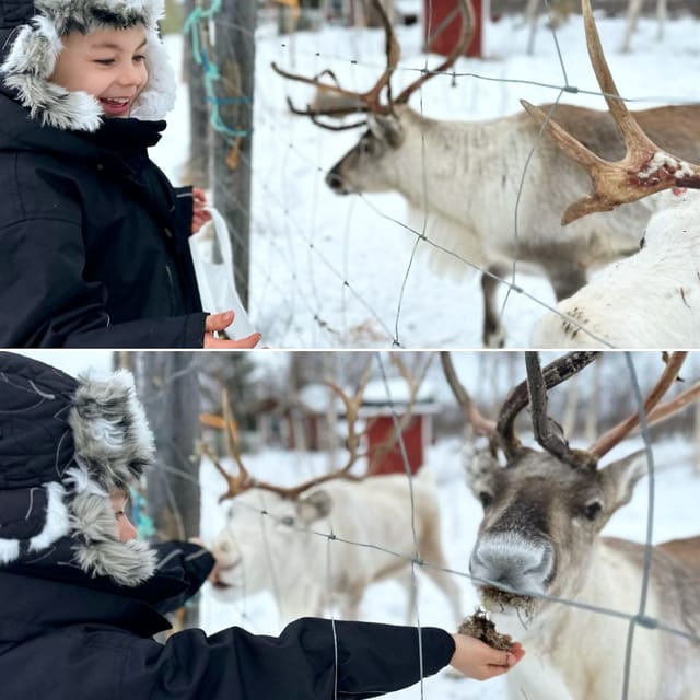 Ivalo: Ice Fishing Tour to Lake Inari, Reindeers & Lunch - What happens after you fish: the drive to Tina and Tapio’s island