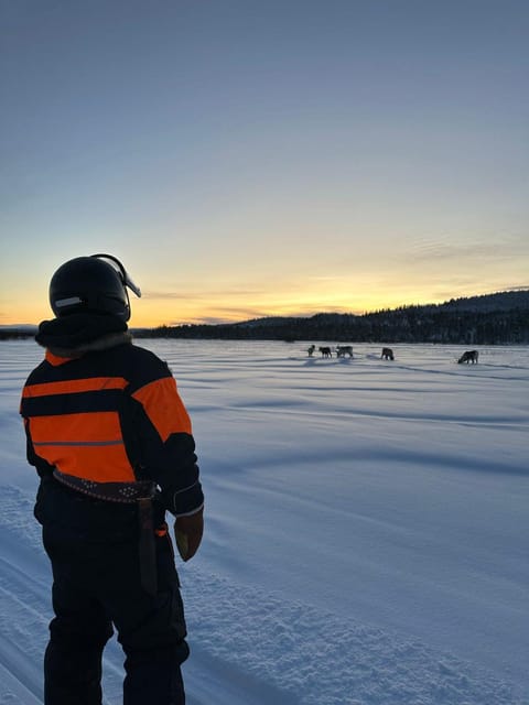 Ivalo: Ice Fishing Tour to Lake Inari, Reindeers & Lunch - Guide quality in English, plus the helpful tone you want outdoors