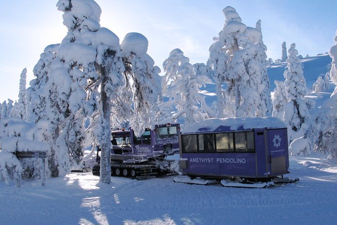 Jewels Of Lapland: Visit to Amethyst Mine in Luosto - Getting there from Rovaniemi: pickup, drive time, and meeting points