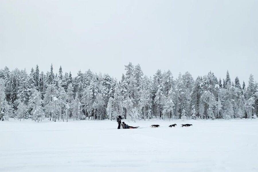 Kemi-Tornio: Husky Sled Ride with Hot Drink - Dressing for the cold, then learning sled basics fast