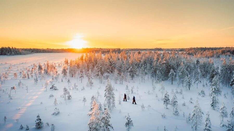 Kemi-Tornio: Nature tour with snowshoes - Key points to know before you go