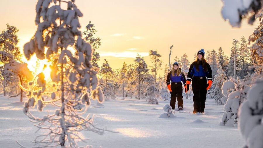 Kemi-Tornio: Nature tour with snowshoes - Off the Beaten Path Into Arctic Winter