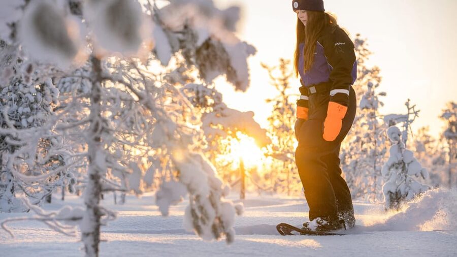 Kemi-Tornio: Nature tour with snowshoes - Getting Ready at Sea Lapland Safaris: Gear, Warmth, and Transfers