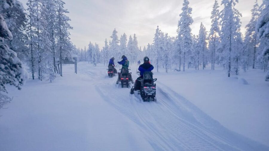Kemi-Tornio: Snowmobile Forest Safari w/ Hot Drink & Snacks - Key things to know before you go