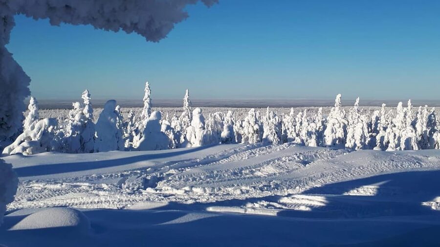 Kemi-Tornio: Snowmobile Forest Safari w/ Hot Drink & Snacks - Why Kemi’s snowmobile route over the Bothnian Bay is the point