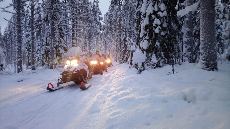 Kemi-Tornio: Snowmobile Forest Safari w/ Hot Drink & Snacks - Snowmobile basics, shared driving, and real safety comfort