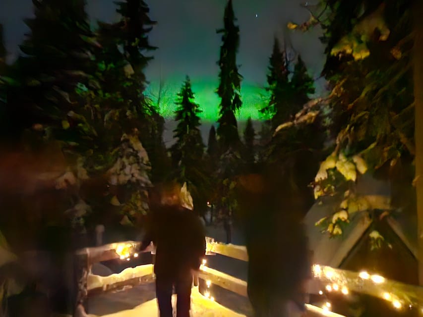 Kemi-Tornio: Starguaranteed Northern Lights Auroras - Price and value: what $112 buys you in the real world