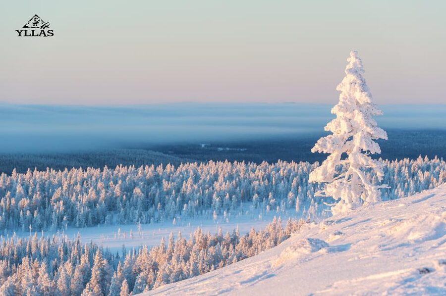 King of Ylläs: Snowmobiling to the Hill - Key points before you go