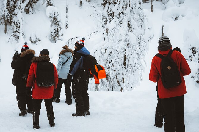 Korouoma Canyon Frozen Waterfalls - Winter gear that keeps you warm, not just “technically dressed”