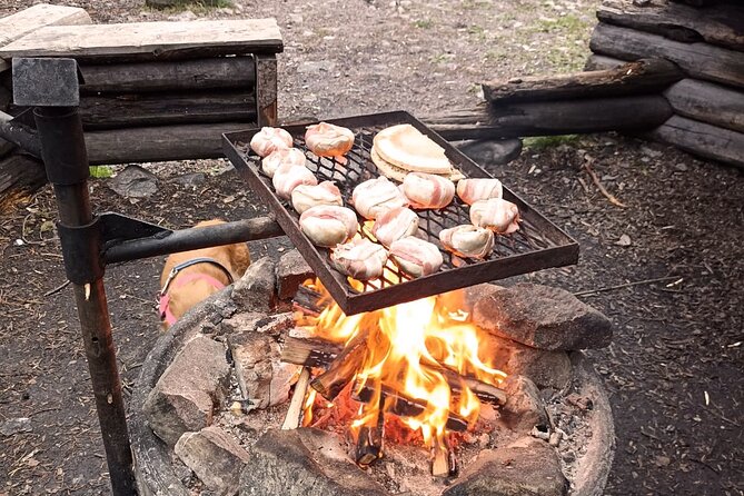 Korouoma Canyon: Frozen Waterfalls Hike & BBQ Experience - BBQ in the canyon: wood fire food and warm drinks