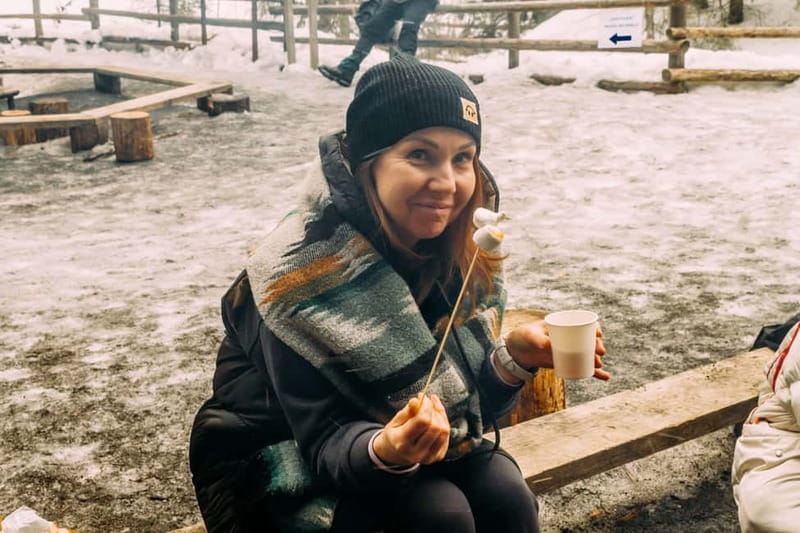 Korouoma Canyon: Frozen Waterfalls Hike & BBQ Experience - Transportation to and from the park: why the van ride is part of the plan
