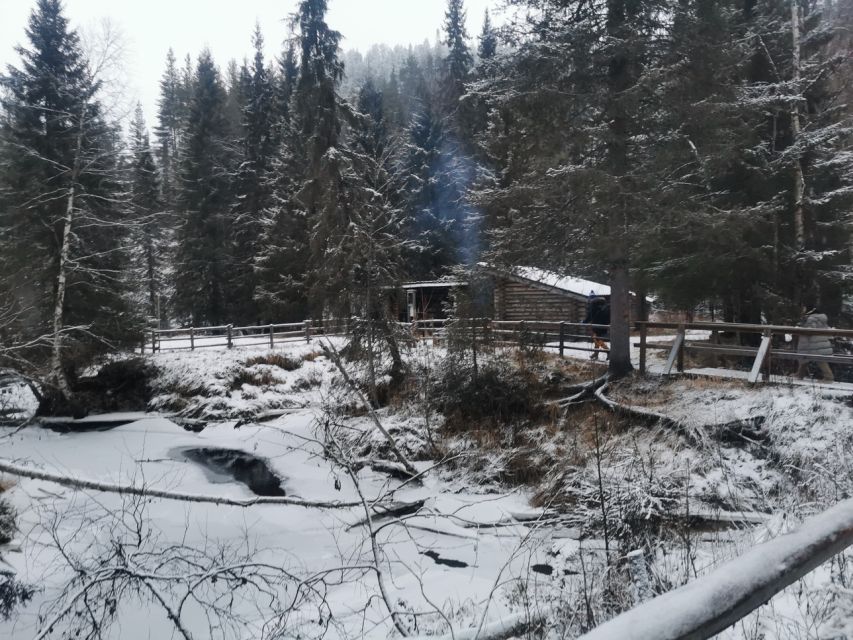 Korouoma Canyon Frozen Waterfalls Hike & Private Teepee BBQ - Korouoma in winter: what you’re really signing up for
