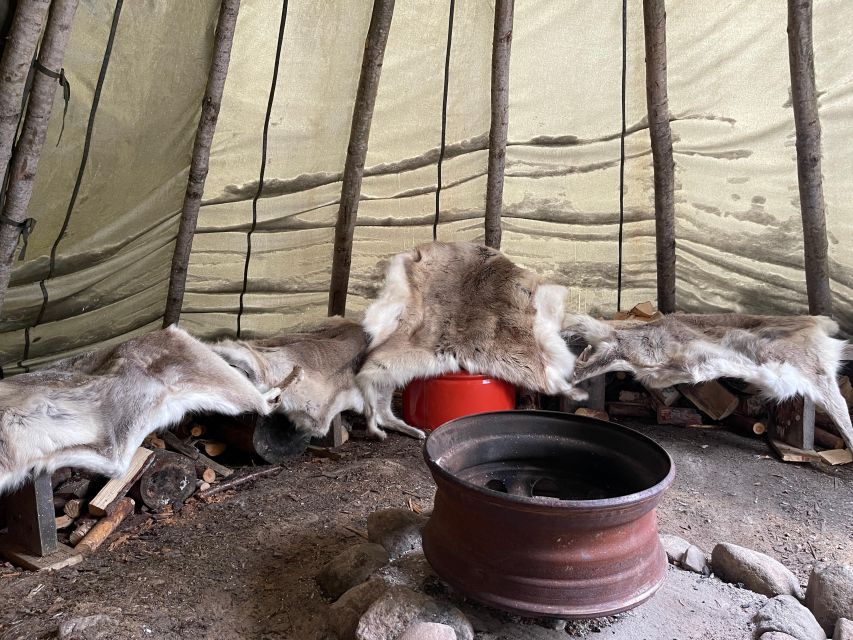 Korouoma Canyon Frozen Waterfalls Hike & Private Teepee BBQ - Wildlife spotting in Arctic country, the right way