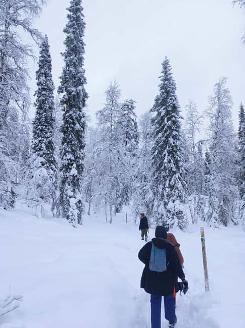 Korouoma Canyon Frozen Waterfalls Hike & Private Teepee BBQ - The ride from Rovaniemi, and why it sets the tone