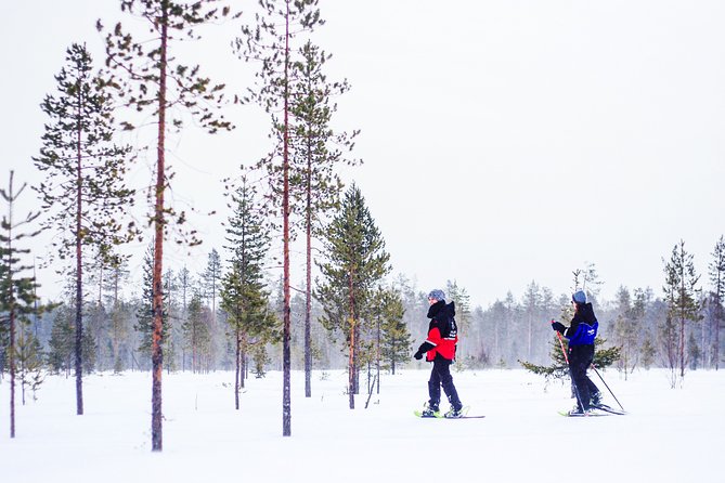 Korouoma Canyon Snowshoe Trip - Quick highlights before you go