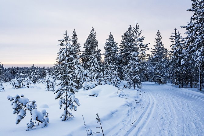 Korouoma Canyon Snowshoe Trip - Enter Korouoma Canyon: frozen waterfalls, high cliffs, and winter forest quiet