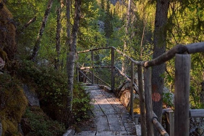 Korouoma National Park & Frozen Waterfalls Adventure - The Korouoma Canyon frozen waterfall hike: distance, difficulty, and how to pace yourself