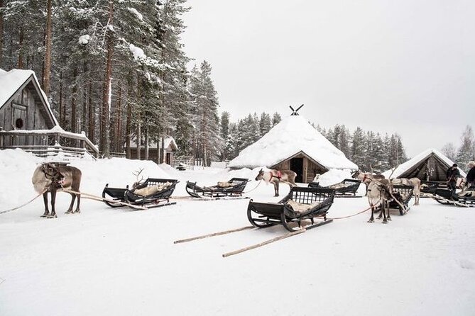 Kuoksa Reindeer Farm Visit with a Short Sleigh Ride - Key Highlights You Should Care About
