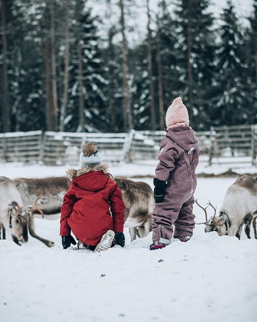 Kuusamo: Reindeer Farm Visit - Handicrafts Workshop and Boutique: The Souvenir Part That Makes Sense
