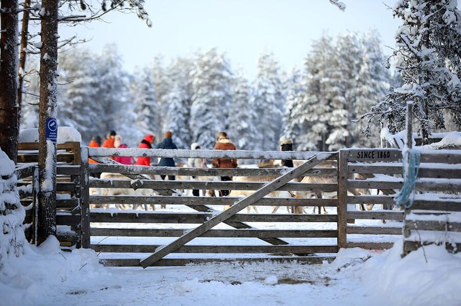 Kuusamo: Reindeer Farm Visit - Weather, Footwear, and How to Show Up Comfortable