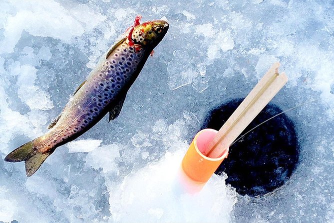 Lakeside Sauna Trip with Ice Fishing and Ice Swimming - The Lakeside Sauna Routine: Warmth, Timing, and Comfort Checks