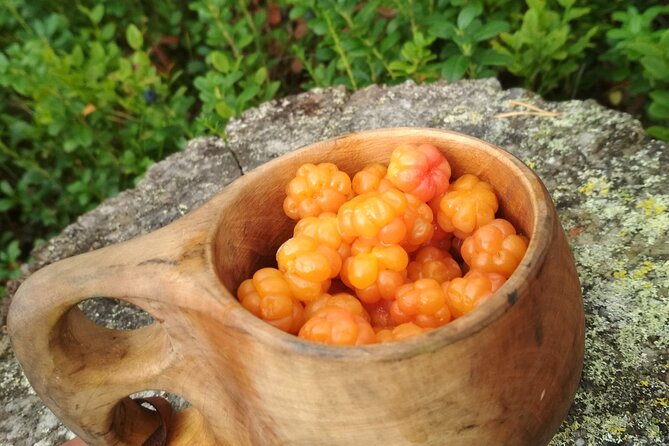 Lapland Berry Day Experience - Price and Duration: Is $133.44 Worth It?