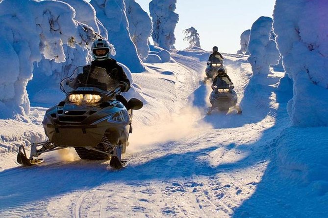 Lapland Family Snowmobile Safari from Levi - Weather matters, so plan for flexibility