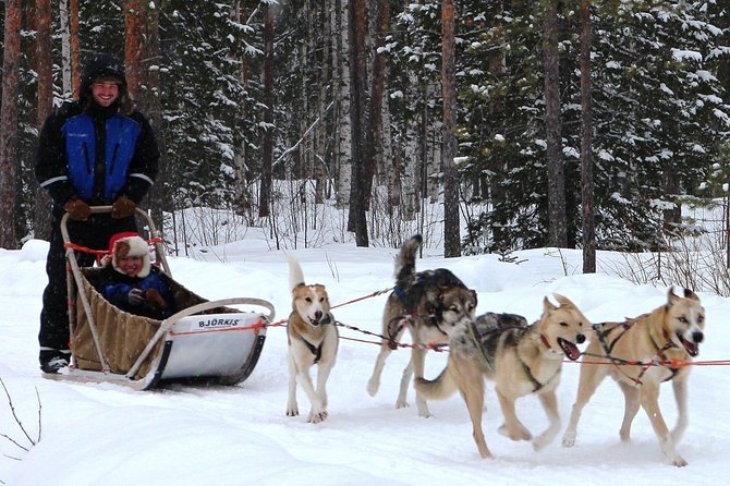 Lapland Husky Safari from Saariselkä - Stop 1: Saariselka Ski and Sport Resort Husky sled driving and campfire snacks
