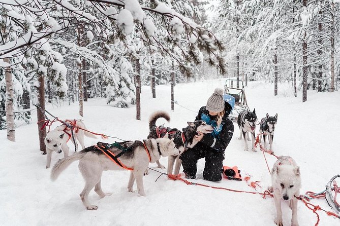 Lapland Husky Safari from Saariselkä - The thermal clothing question: staying warm without overheating
