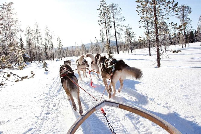 Lapland Husky Safari from Saariselkä - Your exact timeline: how the 2-hour experience is paced