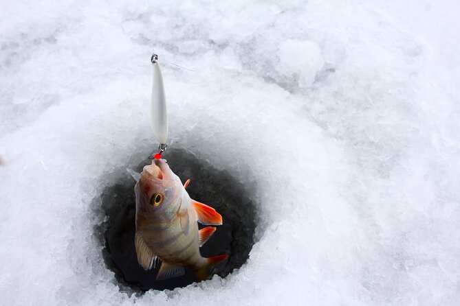 Lapland Ice Fishing Experience from Rovaniemi - Arctic Forest Walk and Lake Arrival: More Than a Transfer