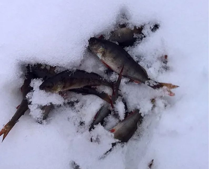 Lapland: Ice Fishing, Floating & BBQ Snow Adventure - Ice floating in survival suits: calm, safe, and a little weird