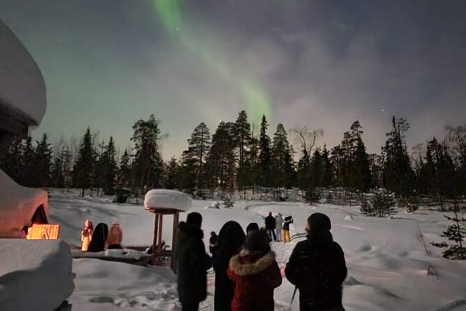 Lapland In A Day - Reindeer, Sledding, Snowmobile & Nature - Lantern-Lit Forest Trail: Photos, Quiet, and a Break From Noise