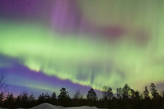 Lapland In A Day - Reindeer, Sledding, Snowmobile & Nature - Cozy Hut Time: Lappish Snacks by an Open Fire