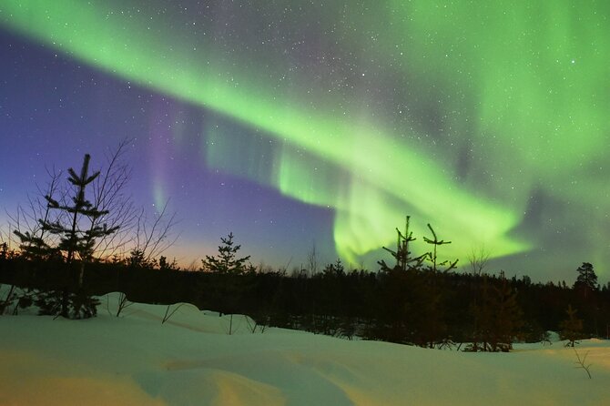 Lapland In A Day - Reindeer, Sledding, Snowmobile & Nature - Practical Logistics That Matter in Winter