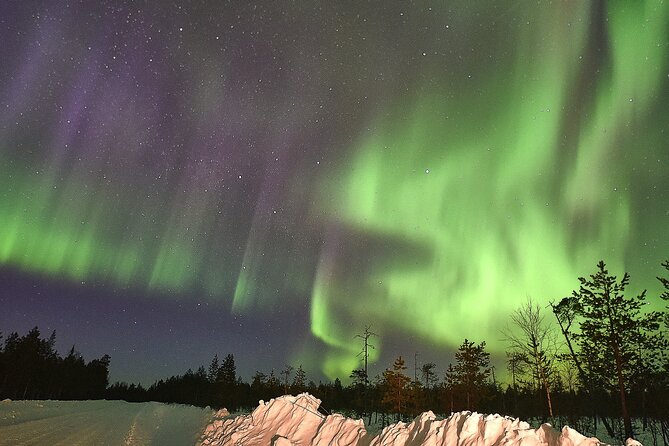 Lapland In A Day - Reindeer, Sledding, Snowmobile & Nature - Price and Value: Why This Feels Like a Lot of Lapland